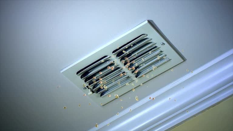 Best Affordable HVAC Duct Cleaning  in Redkey, IN
